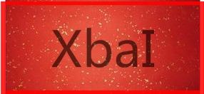 XbaI