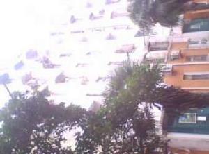 東井村小區 東井村小區