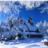 最美雪景動態壁紙