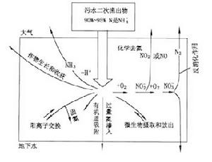 （圖）硫氮污染處理途徑