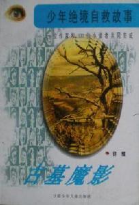 古墓魔影 古墓魔影