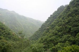 大田縣廣平鎮北洋綺森林公園 大田縣廣平鎮北洋綺森林公園