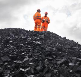 煤岩分析 煤岩分析