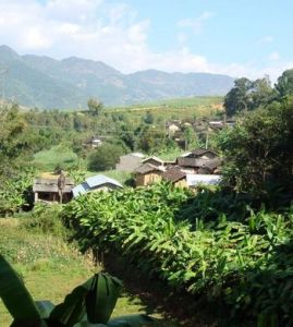 勐板自然村 勐板自然村