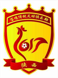 寶雞博銳青少年足球俱樂部 寶雞博銳青少年足球俱樂部