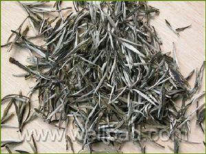 旗槍[綠茶的一種]