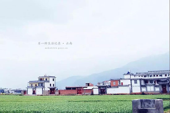 我在大理，等風等雨也等你。