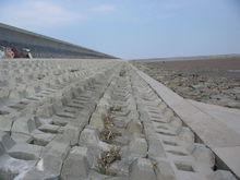 海塘迎潮面消浪用的四腳空心塊