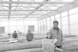 赤城村[湖北省通山縣通羊鎮赤城村]