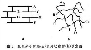 高分子交聯結構
