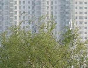 御苑1號 御苑1號