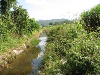 景抗自然村 景抗自然村