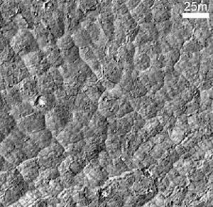 火星勘測軌道飛行器HiRISE觀測到火星赤道存在著半球多邊形塊狀土壤