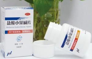 鹽酸小檗鹼片 鹽酸小檗鹼片