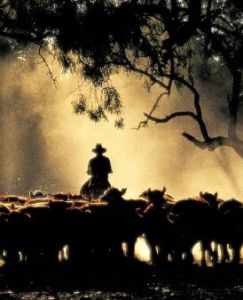 最後的牛仔 最後的牛仔