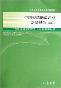 中國智慧能源產業發展報告 中國智慧能源產業發展報告