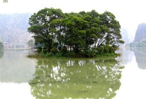 玉林龍珠湖風景區