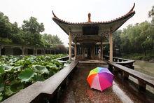 白玉公園近景照片