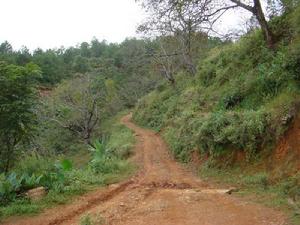 拉庫村村內道路