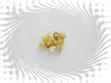 索南朗加真身舍利