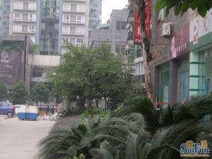 大渡口街道 大渡口街道