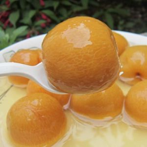 糖水李子罐頭 糖水李子罐頭