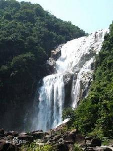 龍歸飛瀑 龍歸飛瀑