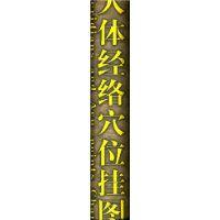 人體經絡穴位掛圖 人體經絡穴位掛圖