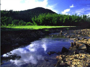 香港八仙嶺郊野公園