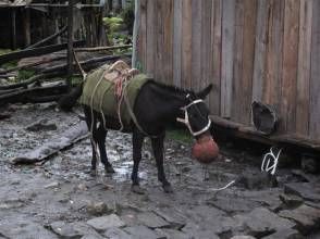 隱秘的蓮花[孫宏凱執導電影]