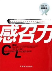 《感召力》