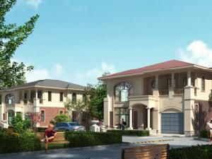 泊愛藍島 泊愛藍島