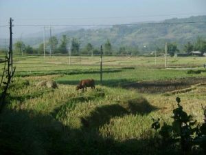 石窩鋪自然村 石窩鋪自然村
