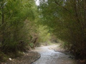 下沙坪自然村 下沙坪自然村