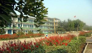 滕州市官橋鎮中心國小