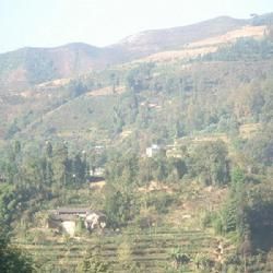 茅草壩村 茅草壩村