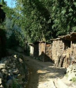 地盤中寨村 地盤中寨村