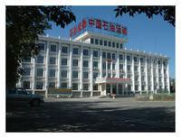 中國石油天然氣運輸公司 中國石油天然氣運輸公司