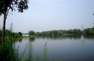 陝南珍稀植物園的湖