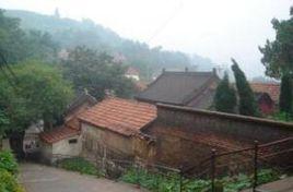 魏家廟村 魏家廟村