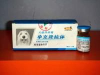 犬瘟熱病毒單克隆抗體 犬瘟熱病毒單克隆抗體