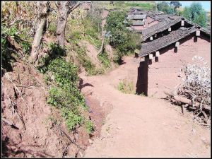 樹密大魚塘村 樹密大魚塘村