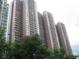 新德家園 新德家園