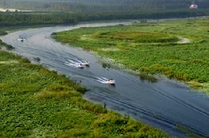 微山湖紅荷濕地