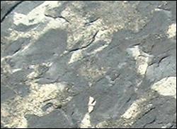 角礫狀混合岩