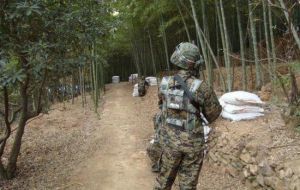 君龍真人CS 君龍真人CS