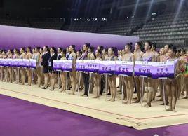 全國藝術體操冠軍賽 全國藝術體操冠軍賽