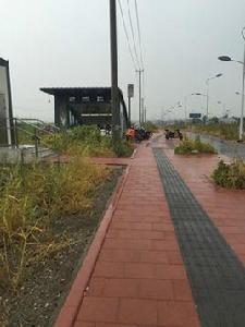 金尚路站 金尚路站