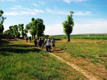 驢友徒步行游爾林兔草原
