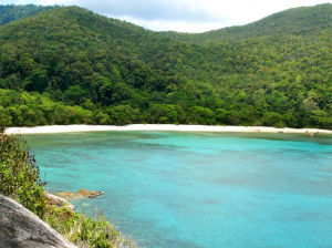 海龜保育中心 海龜保育中心